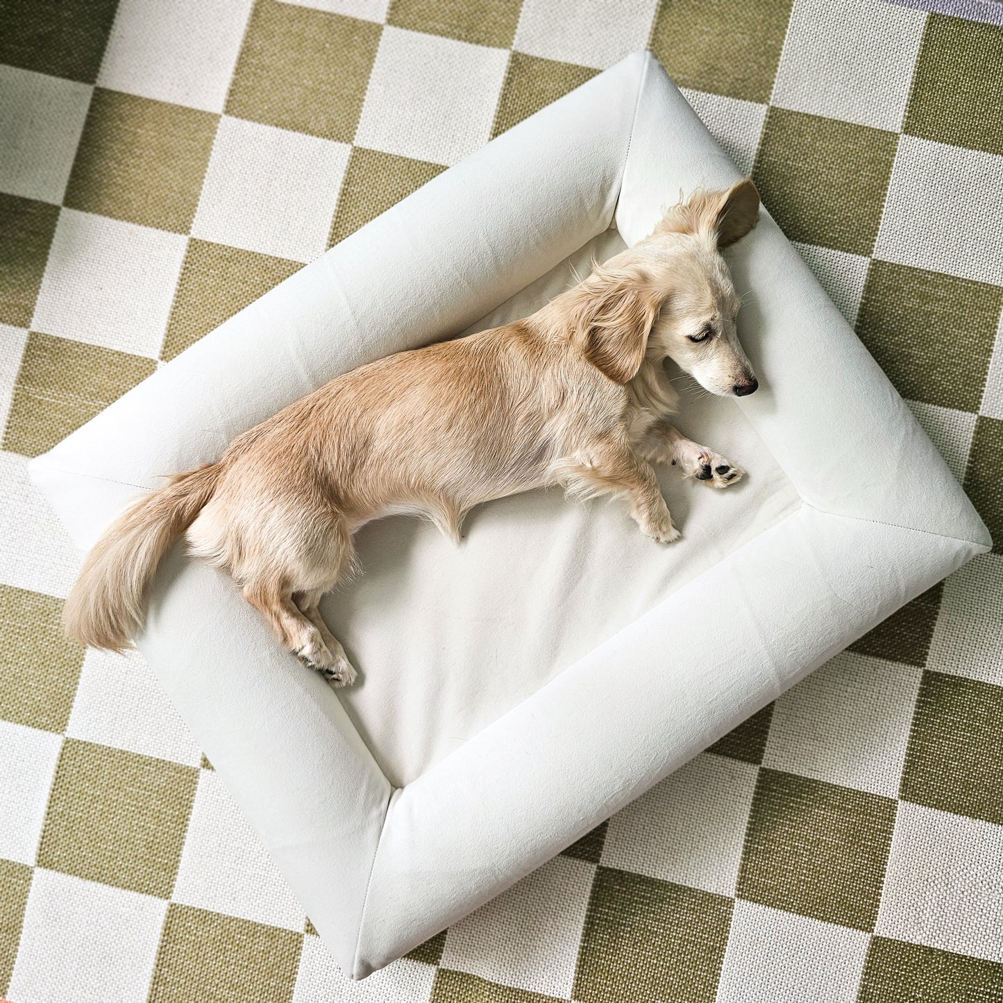 Small Tofu Bed