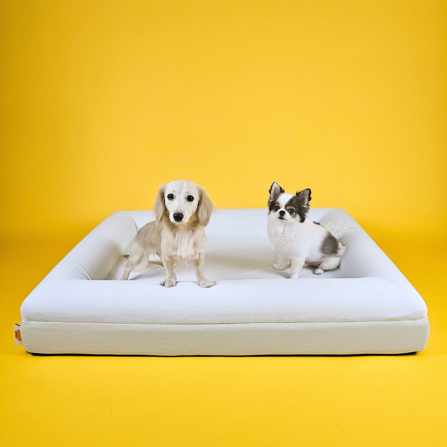 Large Tofu Bed